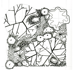 Landscape design strategy: neglected