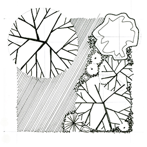 Landscape design strategy: State Park