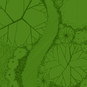 Tree cover: somewhat covered