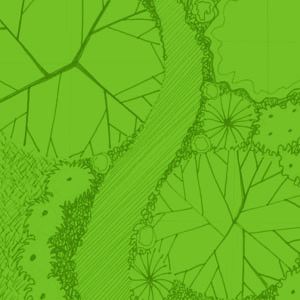 Tree cover: somewhat open