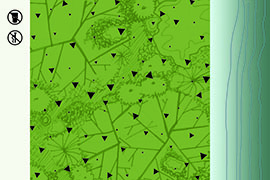 142 OH Washington New Matamoros Brick Street Boat Launch 270 x 180 8 high