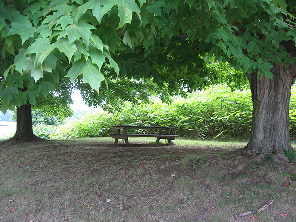 17 Allegheny Leetsdale Industrial Park boat launch river view 600 8 high