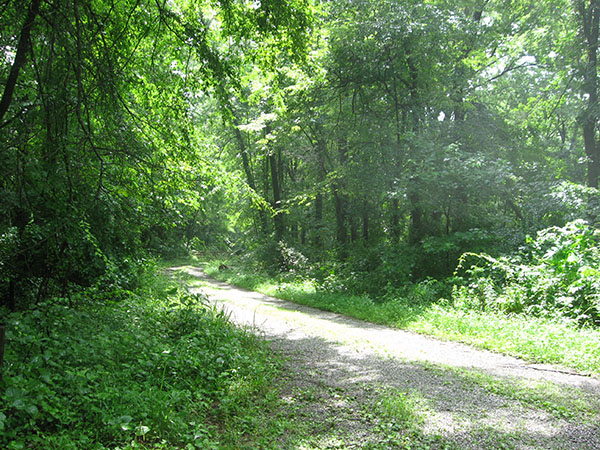 901 5 IL Pope Golconda Rauchfass Hill SRA road 600 8 high