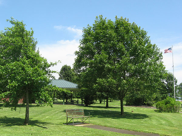 943 IL Massac Metropolis Dorothy Miller Park park 600 8 high