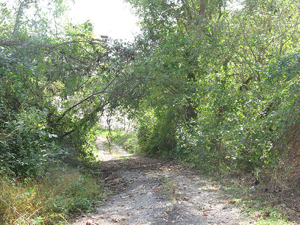 211 OH Meigs Shade River SR Access Public Fishing to riverbank 600 8 high
